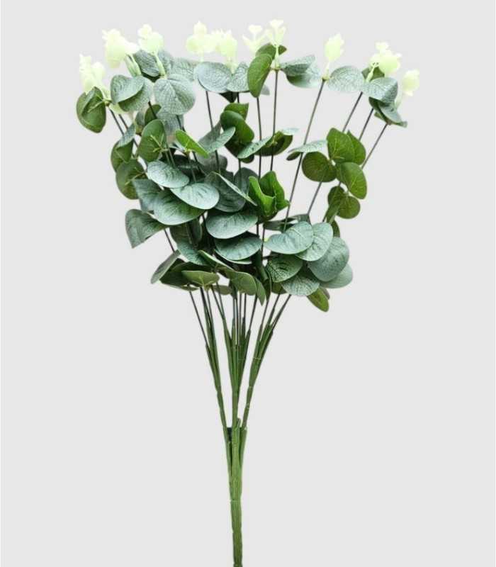 Small Eucalyptus Branch