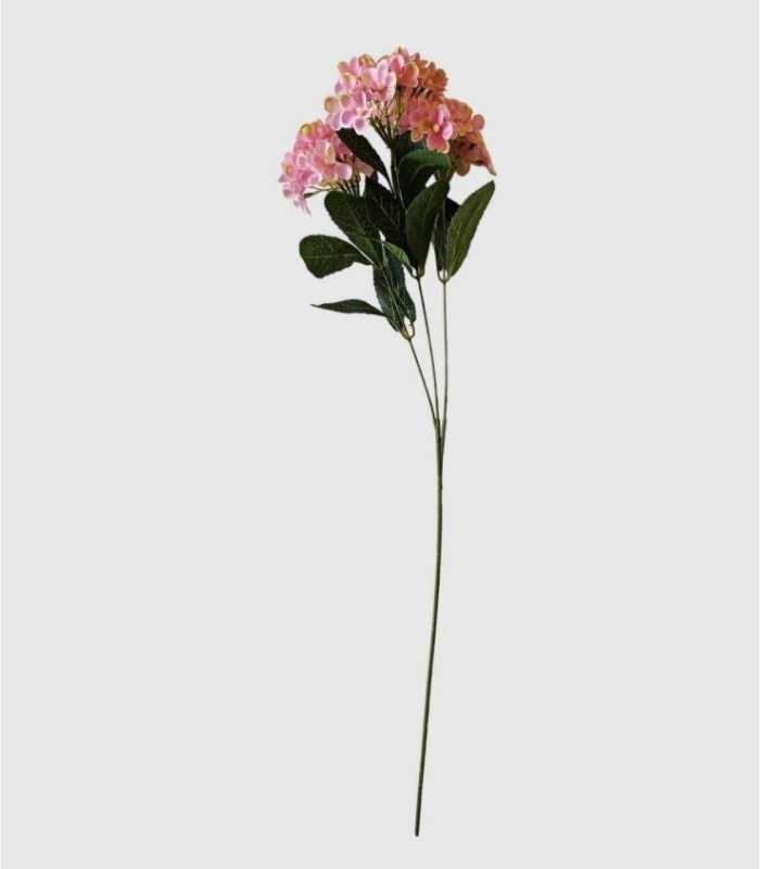 Hortensia-stengel