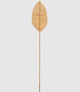 Decorative Natural Cane Leaf