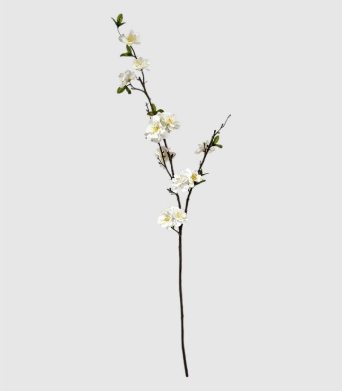 Branch with Almond Blossoms