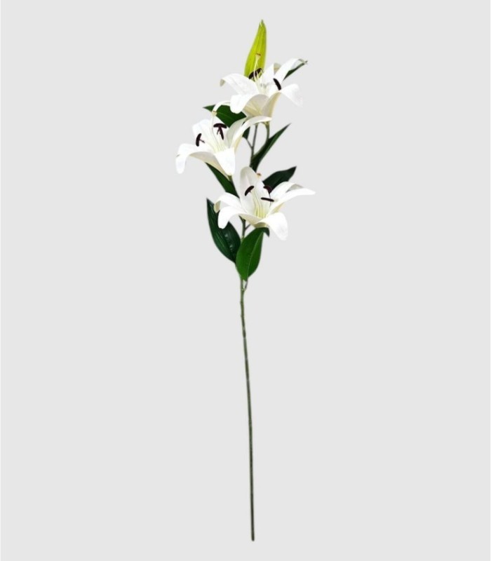 Witte lelie 3 bloemen