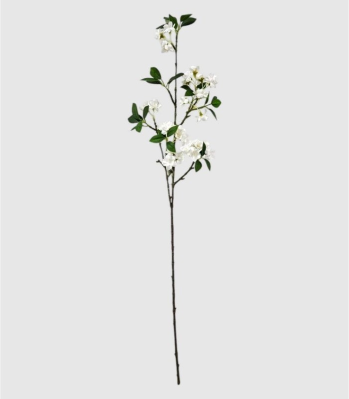 Branch with Almond Blossoms