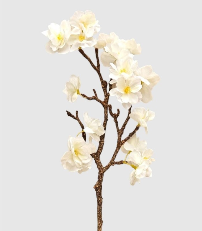 Amandelbloesems aan een tak