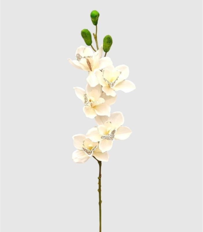 Cymbidium Orchid Flower