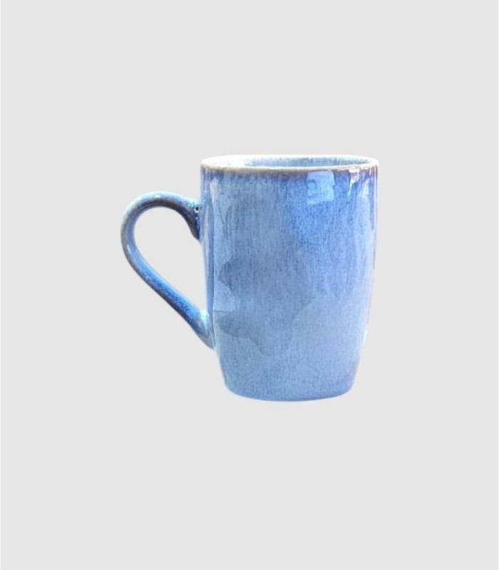 Kleine blauwe macara-mok