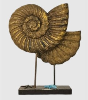 Schelpdecoratie