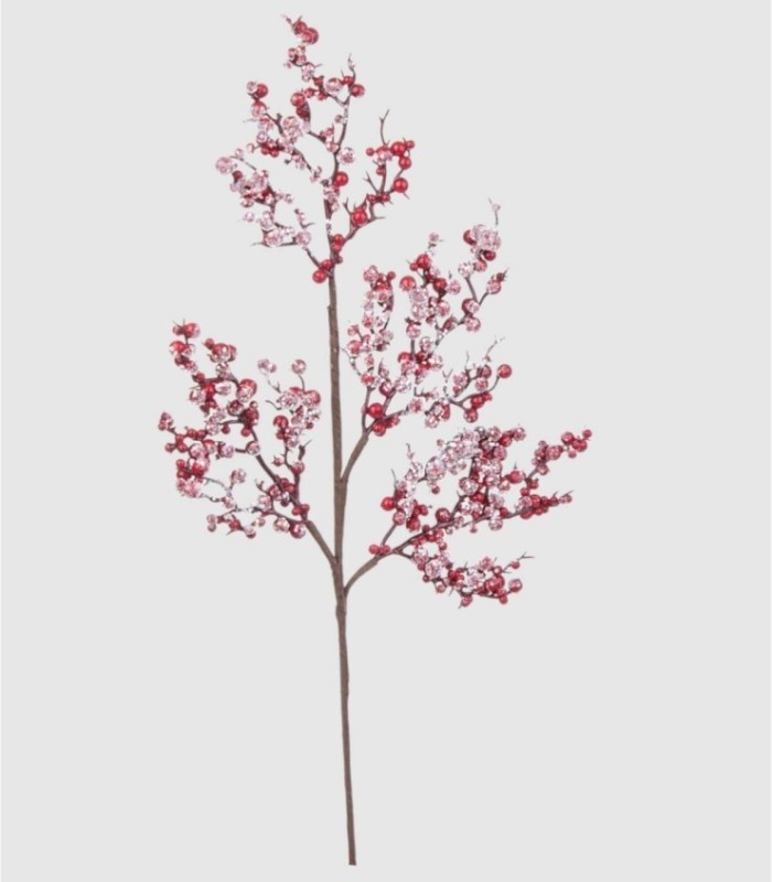 Rama Delia roja nieve