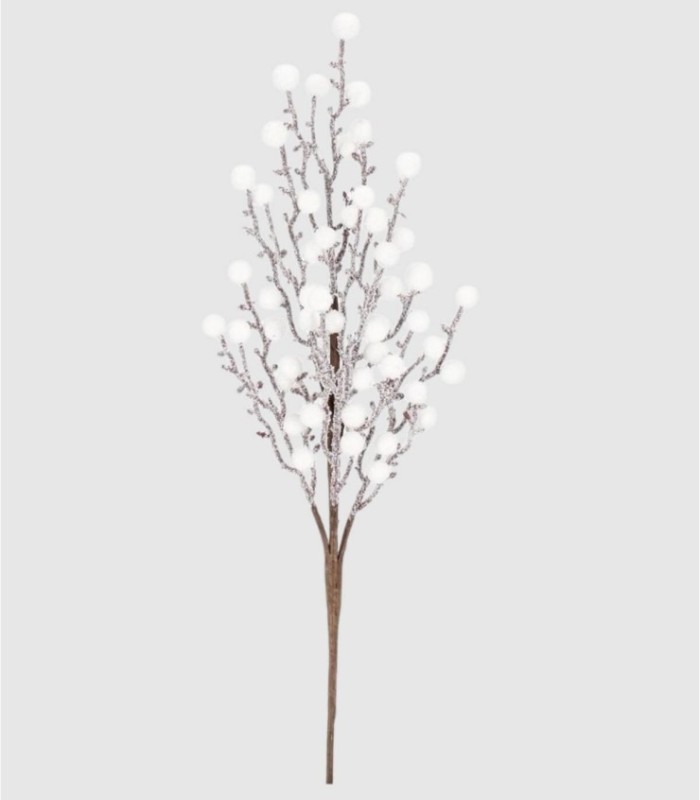 Rama Hollyn blanca nieve