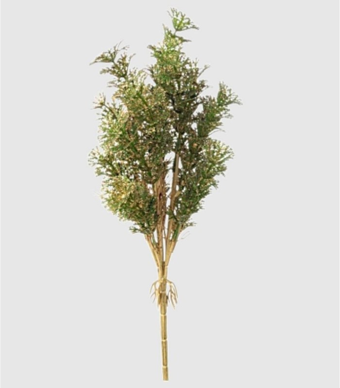 Rama hojas edhel hinoki verde