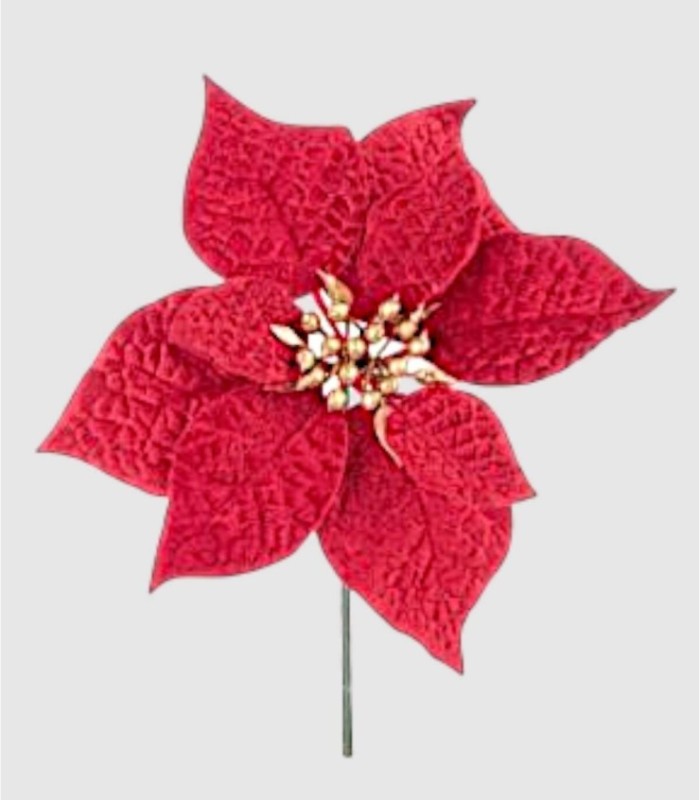 Rama hojas janel roja