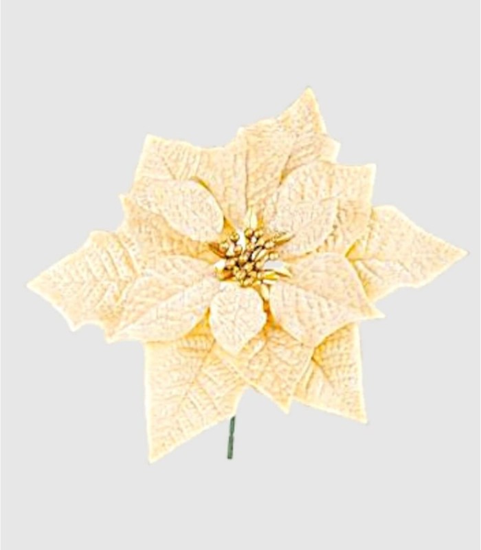 Rama hojas janel champagne