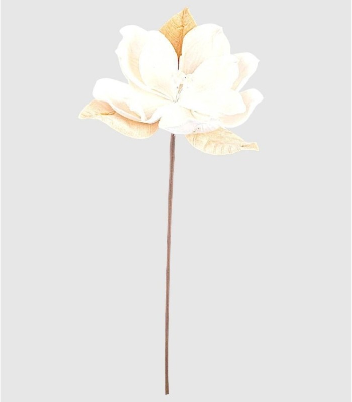 Flor hojas blanco beige ertemios