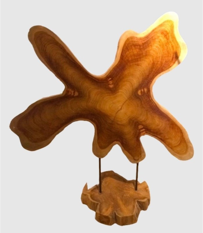 Figure of a tree trunk cross-section