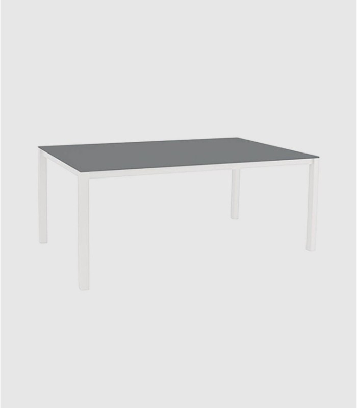 Large glass table, one gray