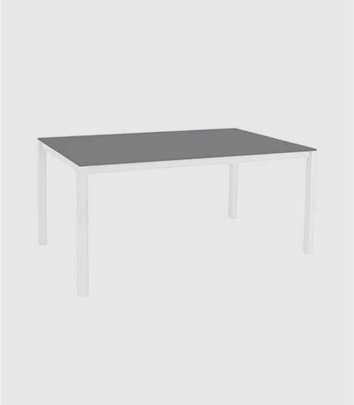 Middelgrote glazen tafel. Eén grijze.