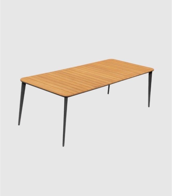 Grote zwarte teakhouten tafel Timo