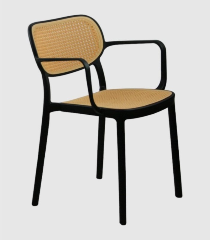 Vienna Chair Black Color