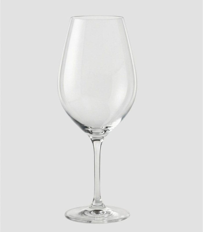 Set van 6 XXL wijnglazen