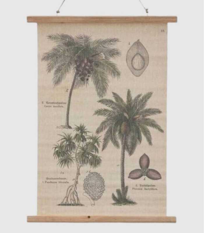 Decoratie met palmbomen van perkament.