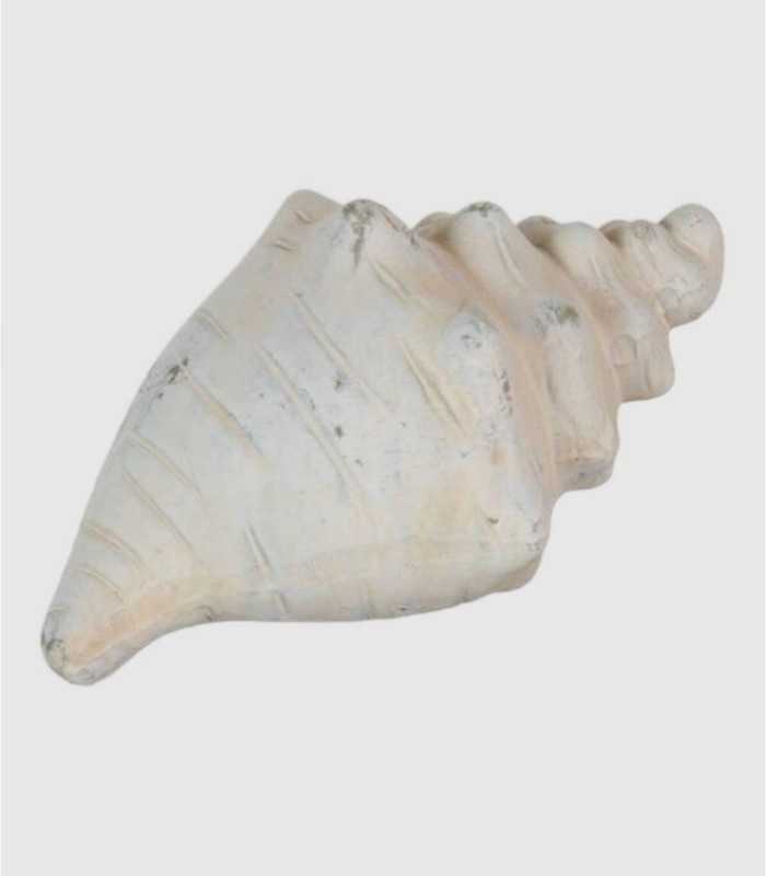 Terracotta figure shaped like a sea shell