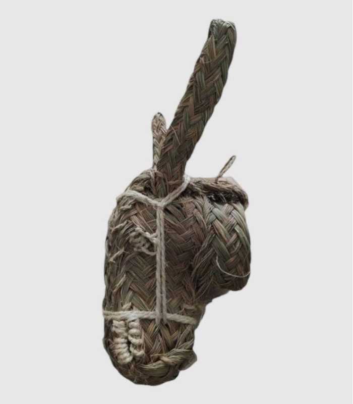 Cabeza de forma de burro