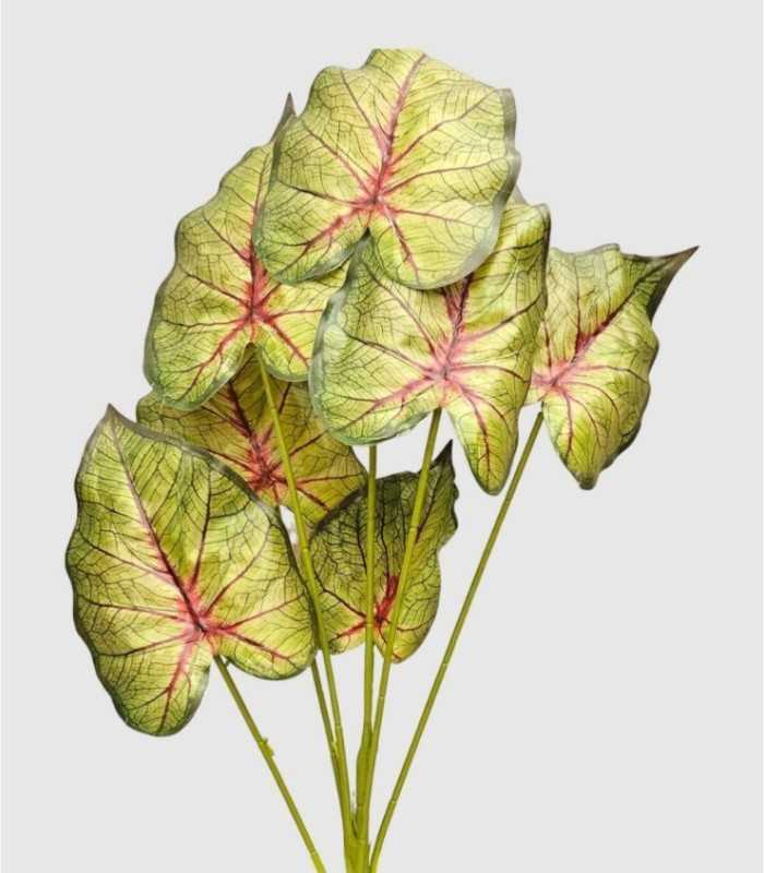 Decoratieve plantenbladeren