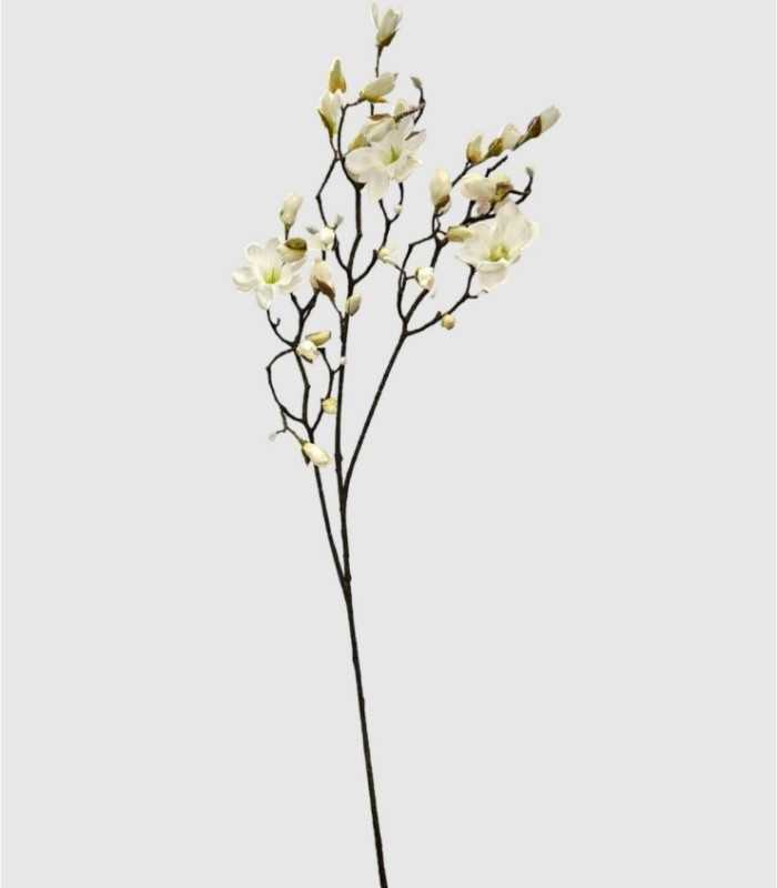 Magnolia-tak