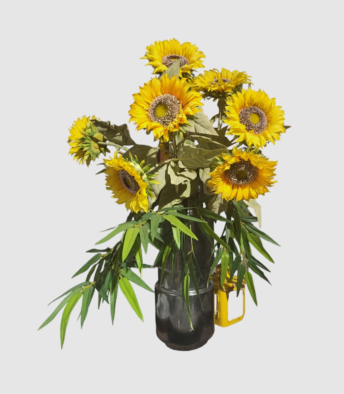 Plantas y Flores